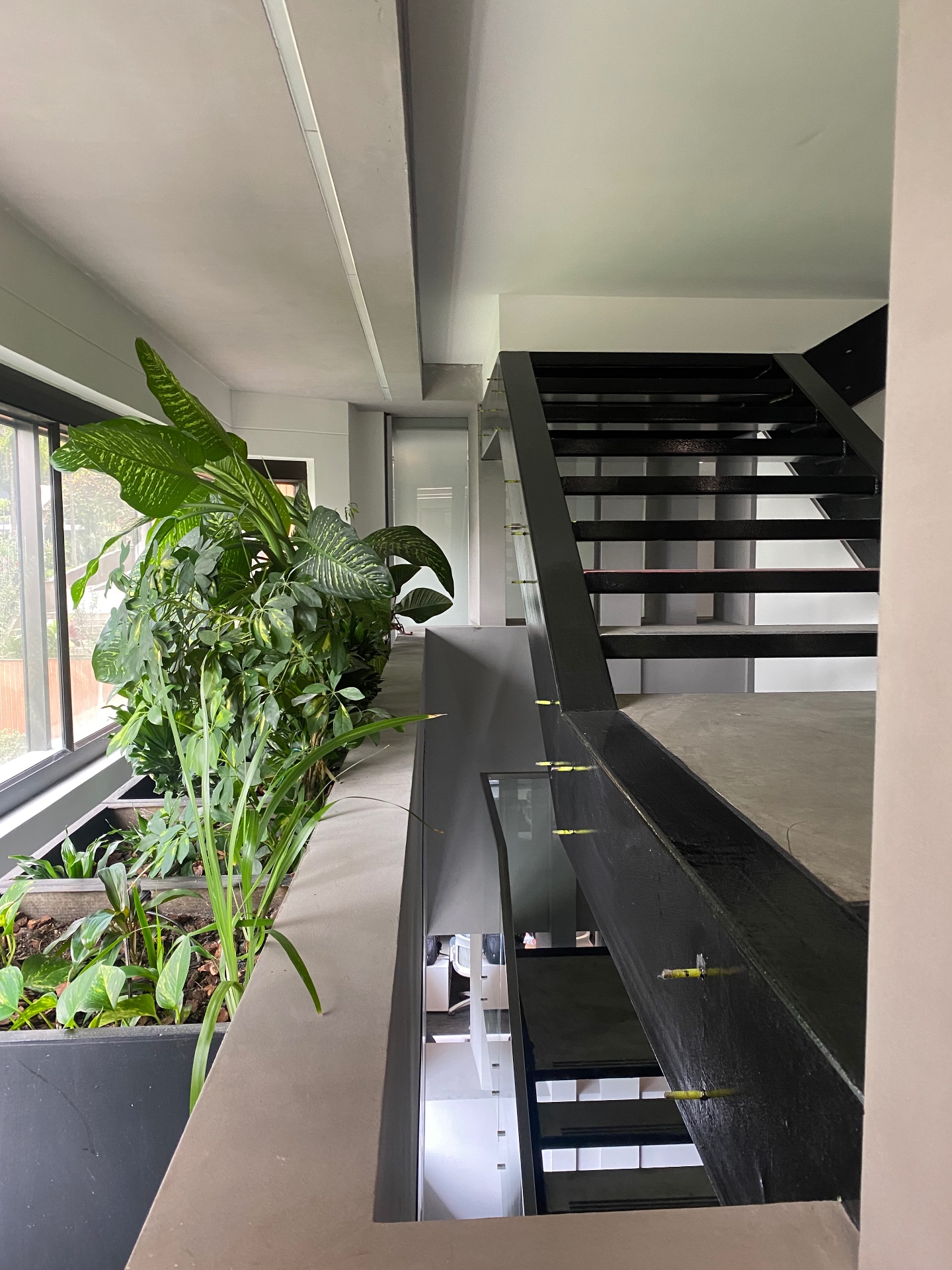 Escaleras metálicas y jardín interior — RENNOVAR reformas Medellín